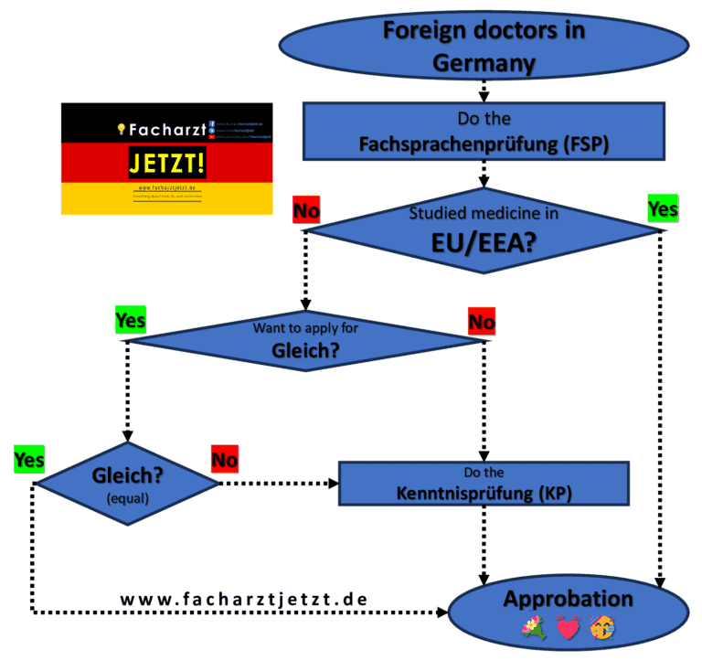 Start medical residency in Germany and get your Approbation| Facharzt ...